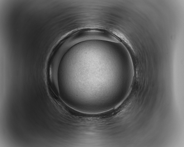 X0000088850436200706081137