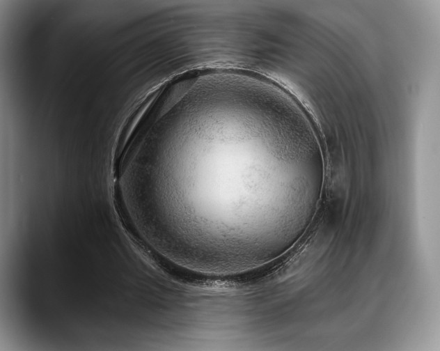 X0000088850437200706081137