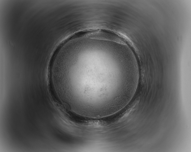 X0000088850439200706081137
