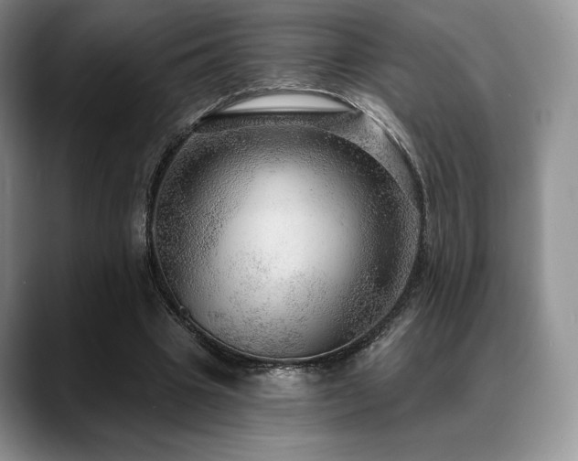 X0000088850441200706081137