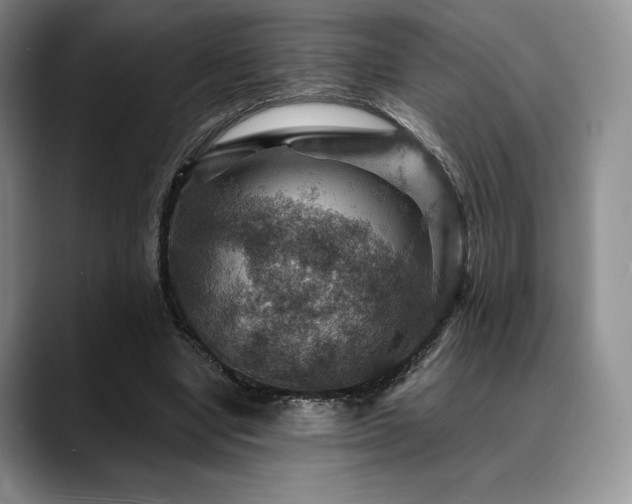 X0000088850442200706081137