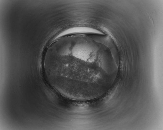 X0000088850443200706081137
