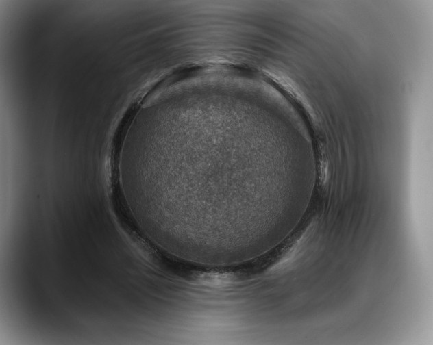 X0000088850444200706081137