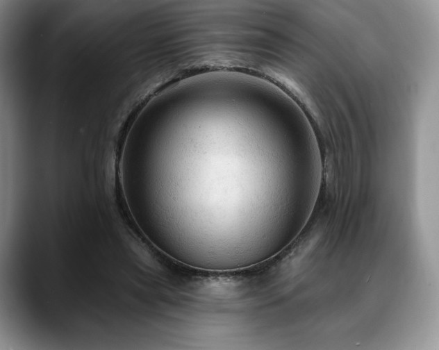 X0000088850445200706081137
