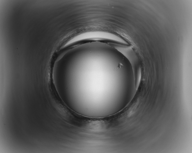 X0000088850446200706081137