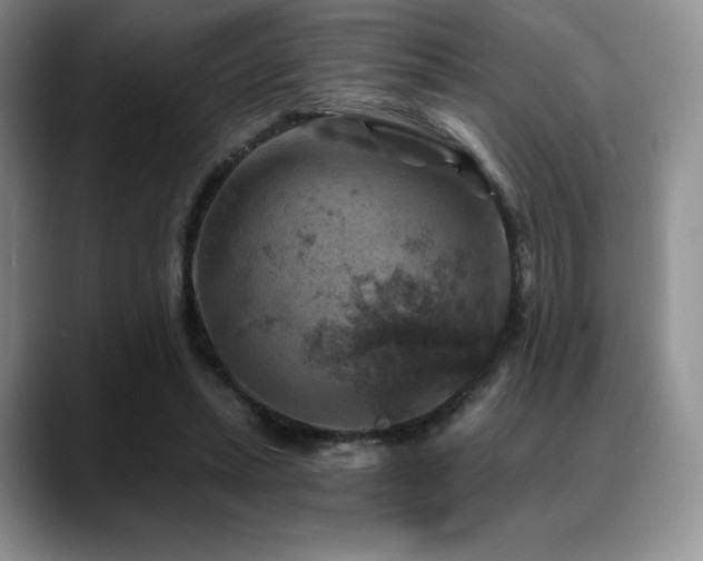 X0000088850447200706081138