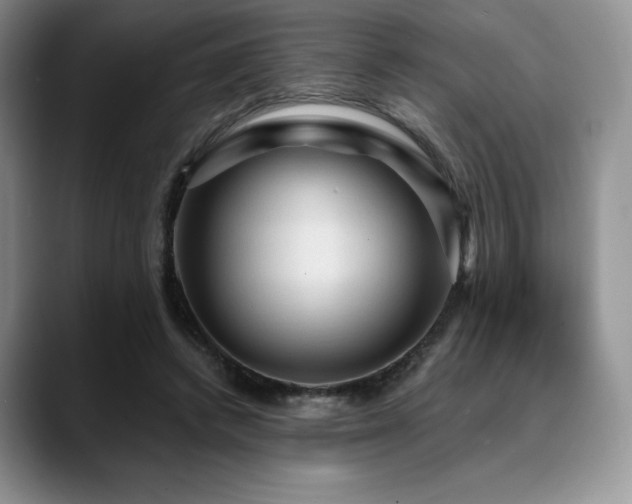 X0000088850448200706081138