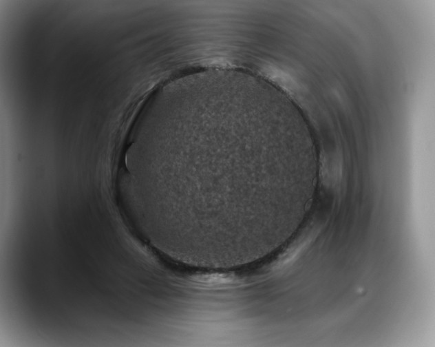 X0000088850449200706081138