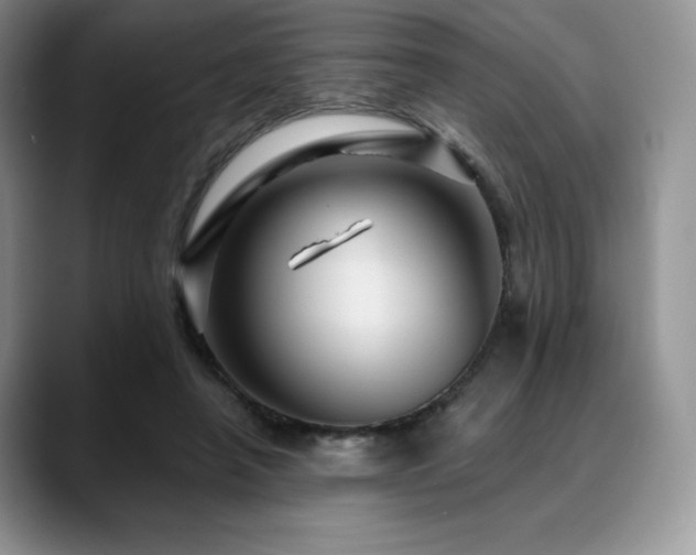 X0000088850450200706081138