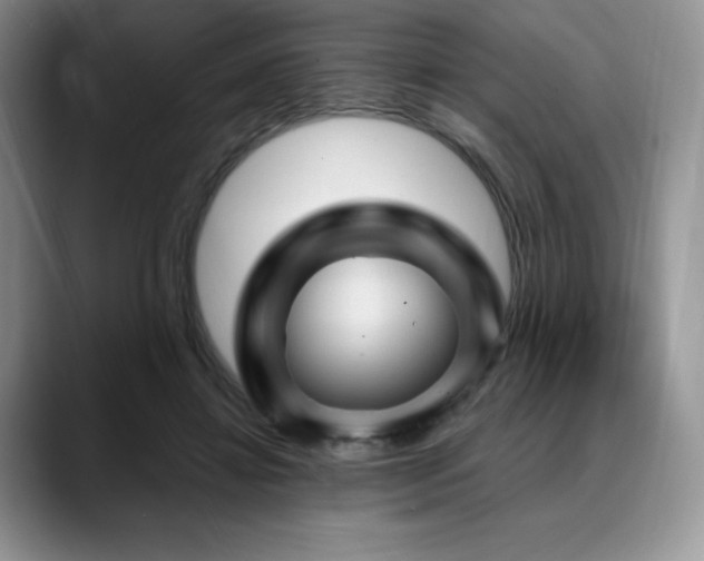 X0000088850452200706081138