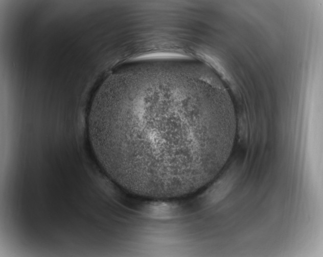X0000088850453200706081138