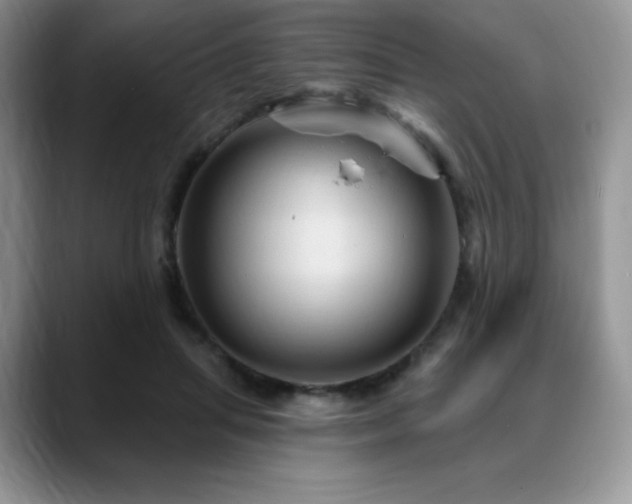 X0000088850455200706081138