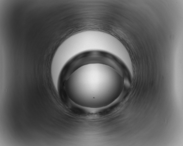 X0000088850456200706081138