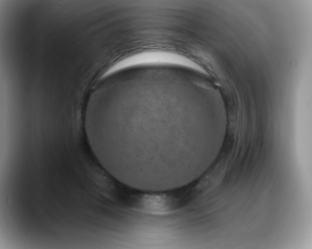 X0000088850457200706081138