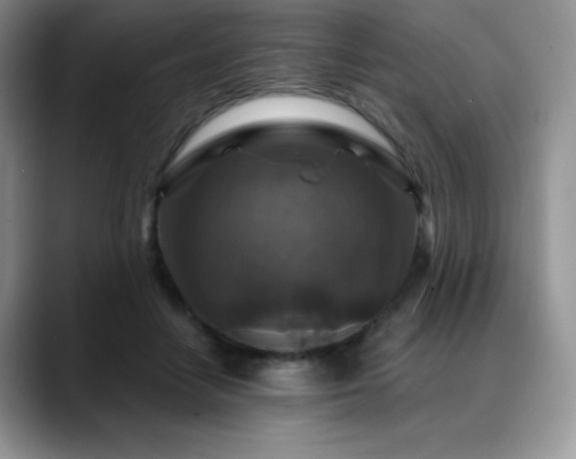 X0000088850458200706081138