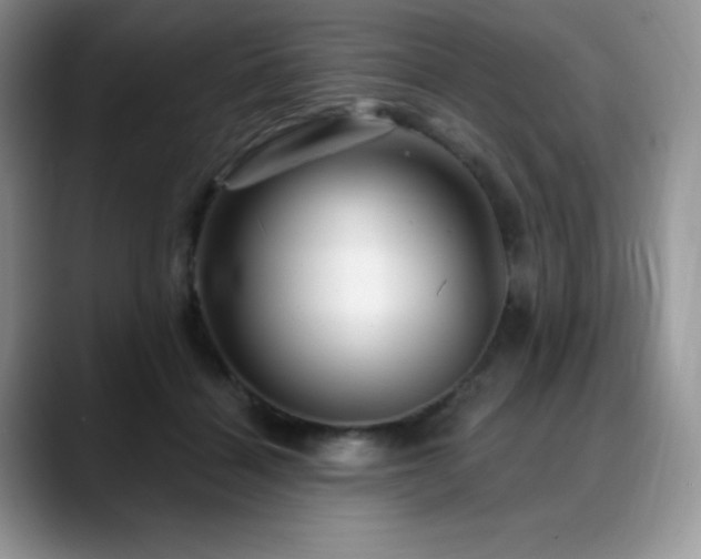 X0000088850460200706081138