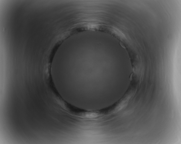 X0000088850462200706081138