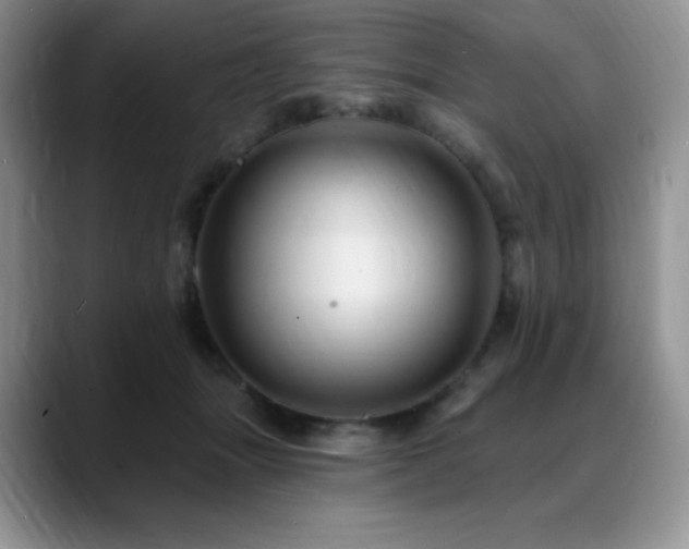 X0000088850463200706081138