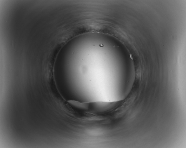 X0000088850464200706081138