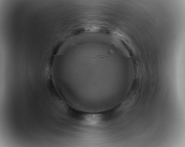 X0000088850465200706081138