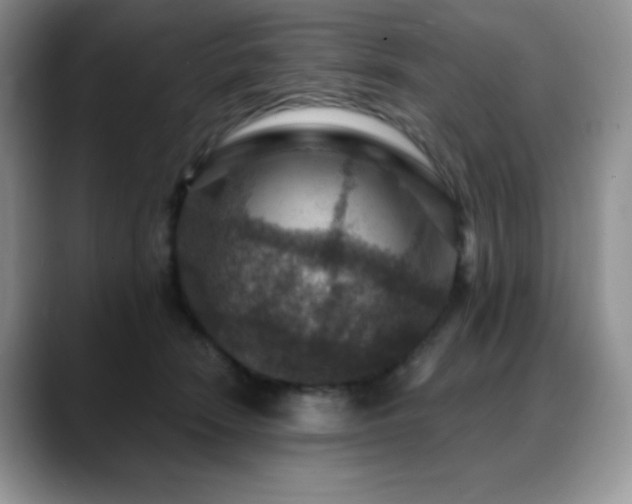 X0000088850466200706081138