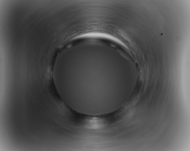 X0000088850467200706081138
