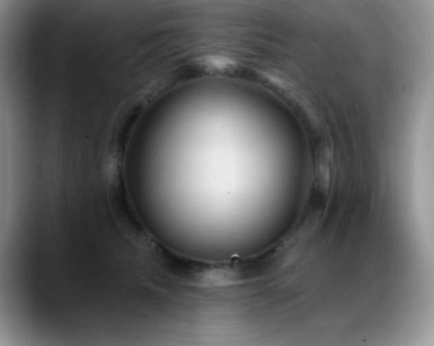 X0000088850468200706081138