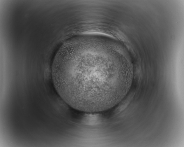 X0000088850469200706081138
