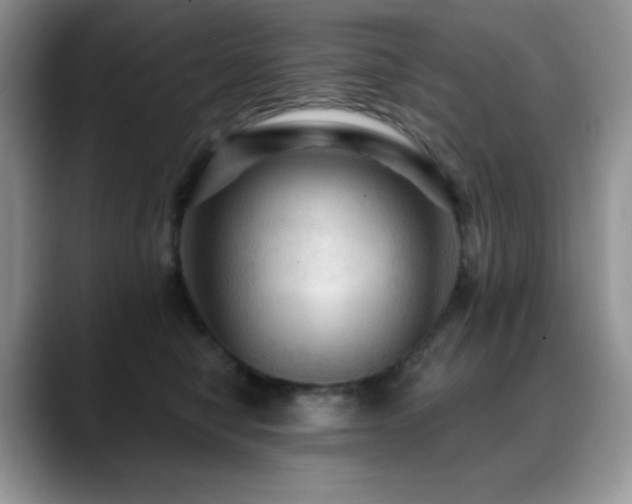 X0000088850470200706081138