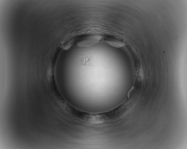 X0000088850472200706081138