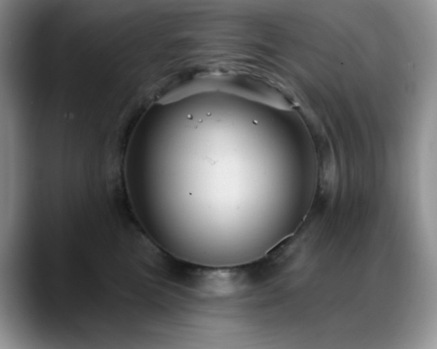 X0000088850473200706081138