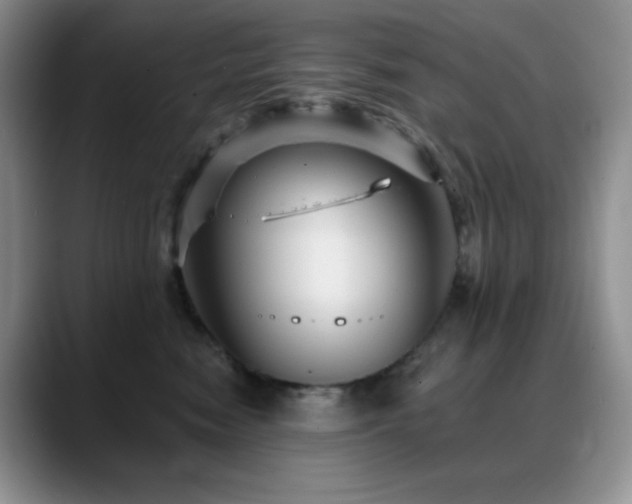 X0000088850474200706081138