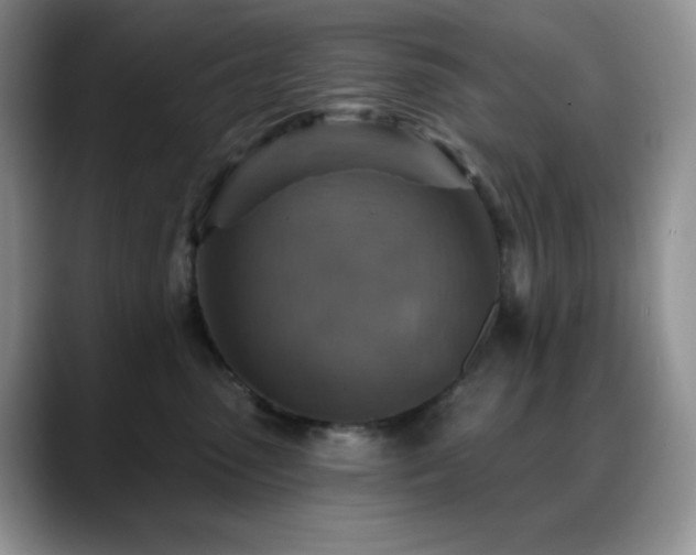 X0000088850475200706081138