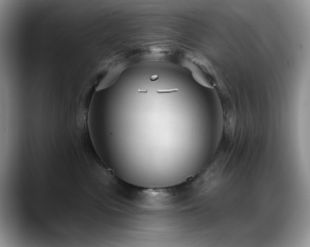 X0000088850477200706081138