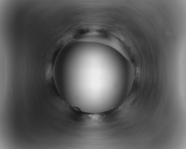 X0000088850478200706081138