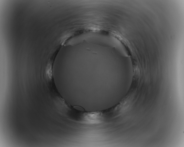 X0000088850479200706081138