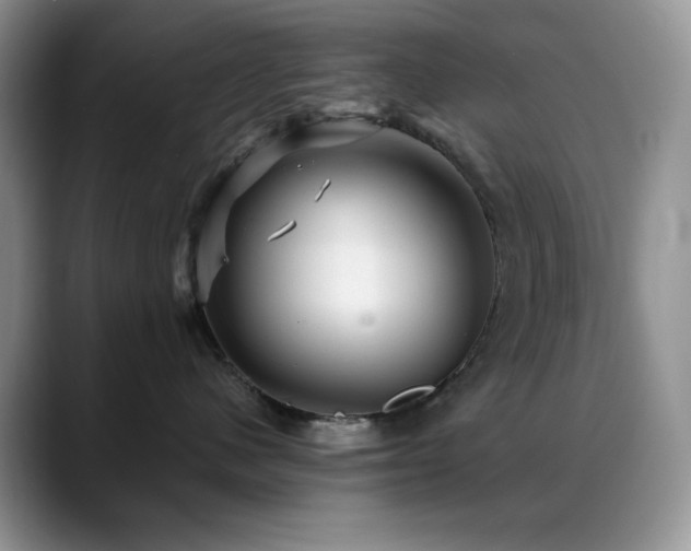 X0000088850480200706081138