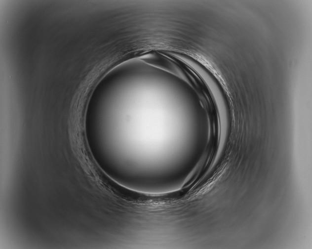 X0000088850481200706081137