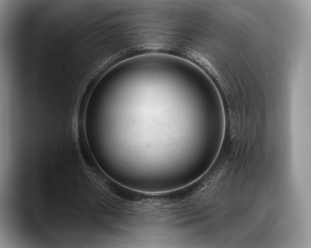 X0000088850482200706081137