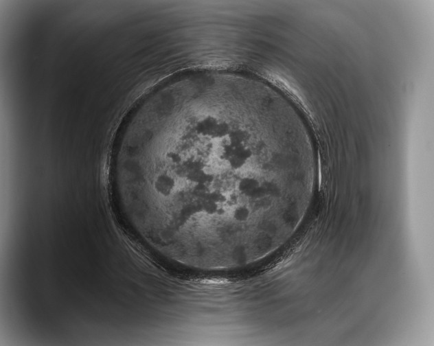 X0000088850483200706081137