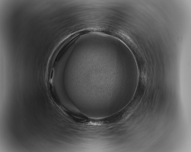 X0000088850484200706081137