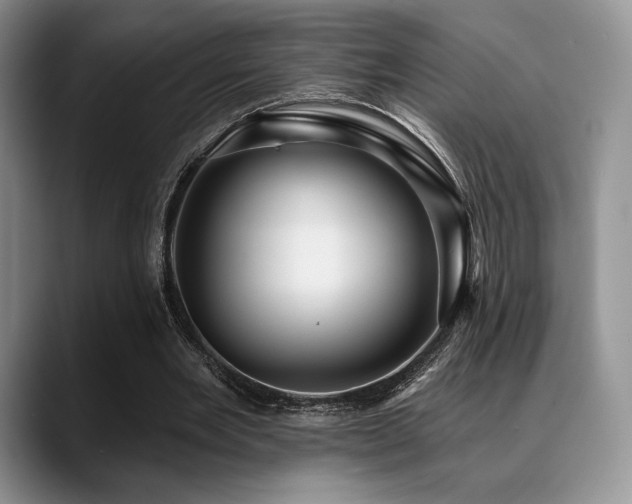 X0000088850485200706081137