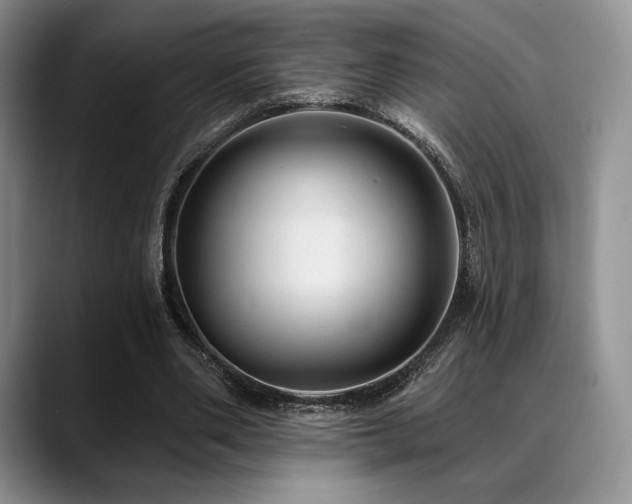 X0000088850486200706081137
