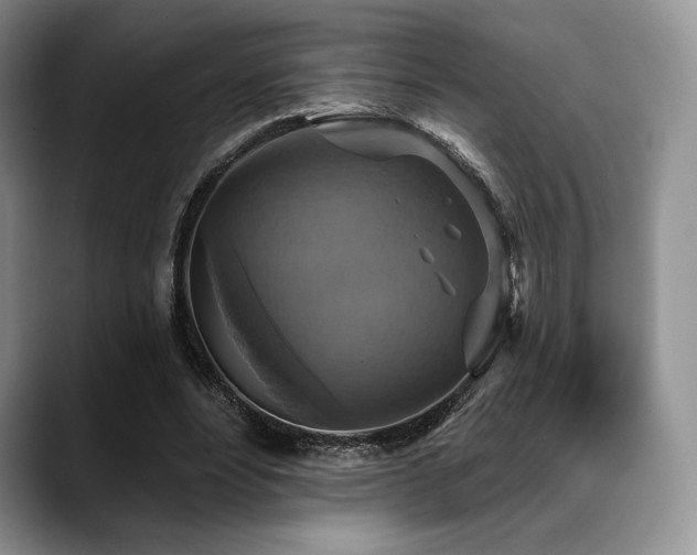 X0000088850488200706081137