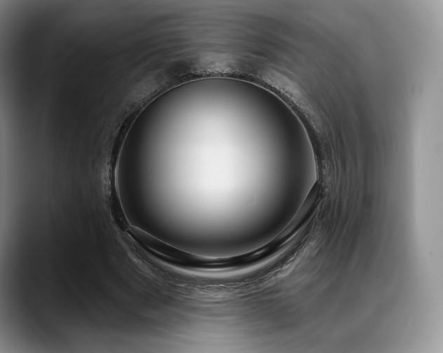 X0000088850489200706081137