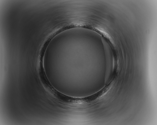 X0000088850492200706081137