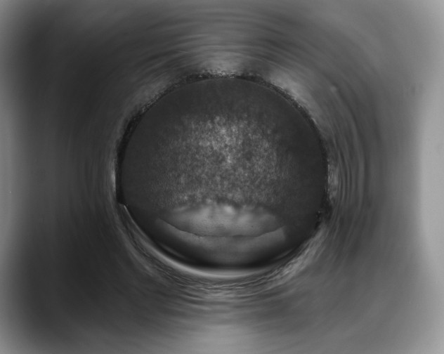 X0000088850493200706081137