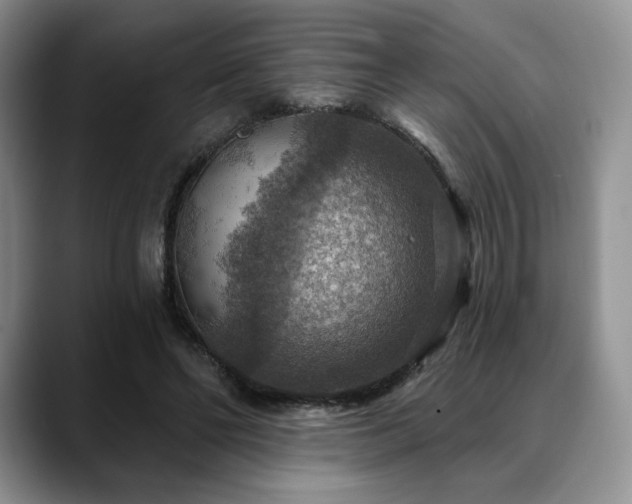 X0000088850494200706081137