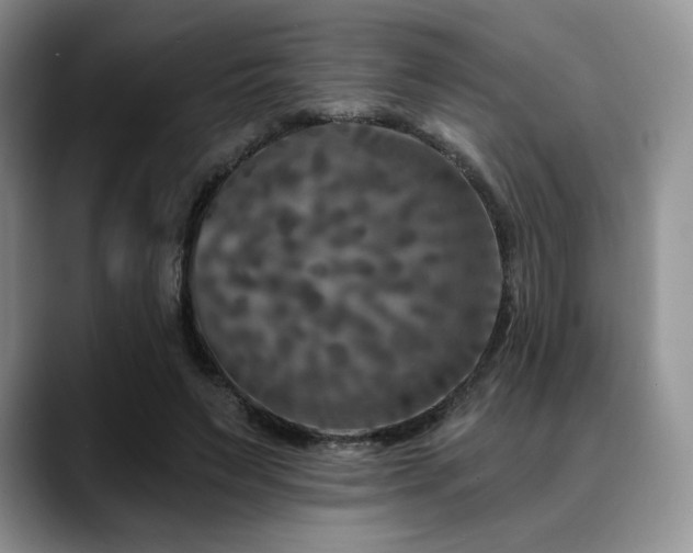 X0000088850495200706081137