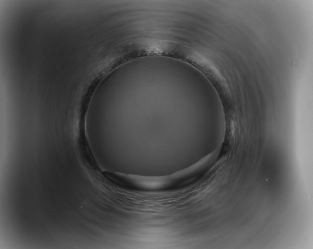 X0000088850496200706081137